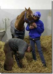 formazione_mascalcia_s