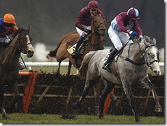 royal_emperor_rendlesham180