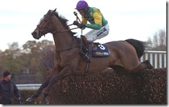 kauto_jump510