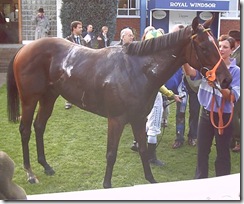 Oldjoesaid_061002_wdsr4