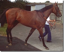 Confront_070922_nwby1