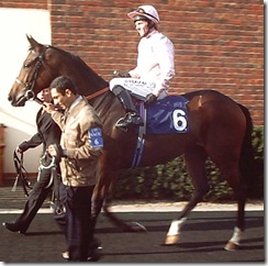 DarReMi_071103_nmkt1