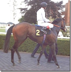 TudorPrince_060719_ktna2