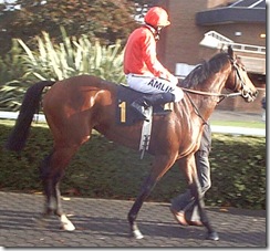 Adversity_071029_ktna3