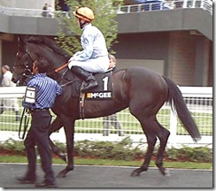 BabyStrange_060527_asct3