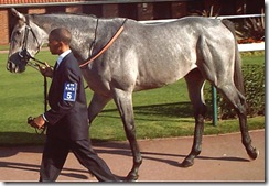 KandaharRun_071019_nmkt2