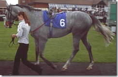 MaltOrMash_061010_nwby1