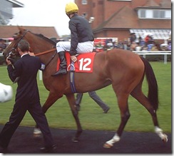 Melodramatic_070818_nwby1