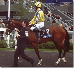 MeydanDubai_070623_asct3