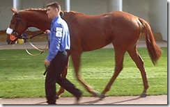 OceanaGold_061009_wdsr1