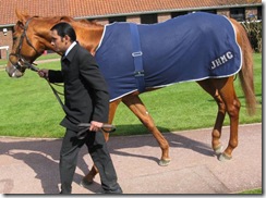 RavensPass_080417_nmkt_3yo