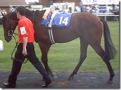 RegalFlush_060721_nwby1