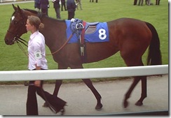 RegalStep_070606_nott1