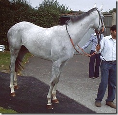 RosaGrace_070921_nwby1