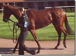 Sortita_071019_nmkt1