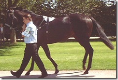 KingsgateNative_070731_gdwd2