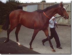 Tourist_070922_nwby1