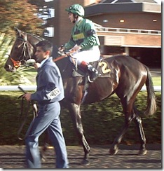 Aleatricis_071029_ktna3