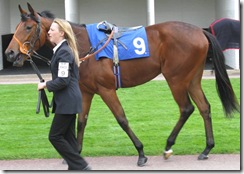 Luxuria_080519_wdsr2