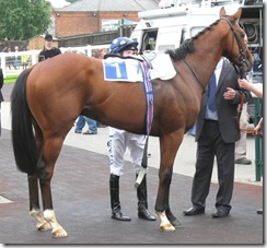 BattleOfHastings_080602_leic4