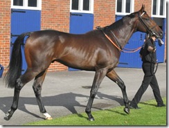 BorderPatrol_081009_nwby3