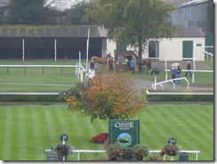 carlisle racecourse