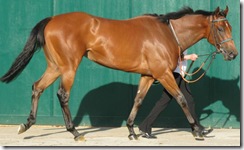 MrsKipling_080629_ling1