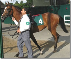 Mykingdomforahorse_080802_ling2