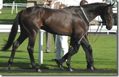 RomanRepublic_081009_nwby1