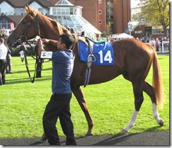 SkankyBiscuit_081009_nwby1