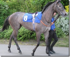 TropicalParadise_080521_sdwn2