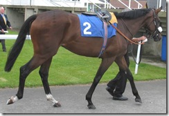 ChibertaKing_080718_nwby1