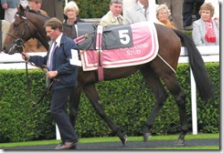 KingOfWands_080924_gdwd1