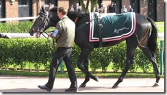 Redwood_081002_nmkt2