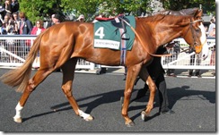 Cityscape_080927_asct3