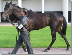 ArchersRoad_090518_Wdsr5