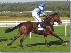 KiteWood_081011_asct6