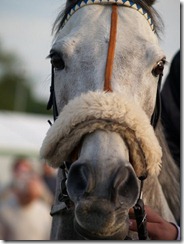 3339852122_baf40bffc8