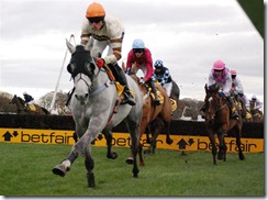 wild cane ridge haydock